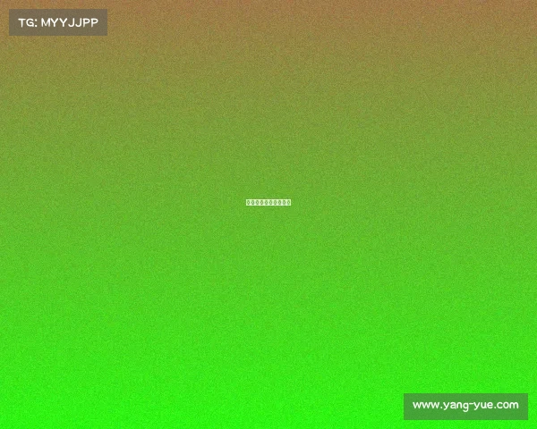 排球体育竞赛组织编排